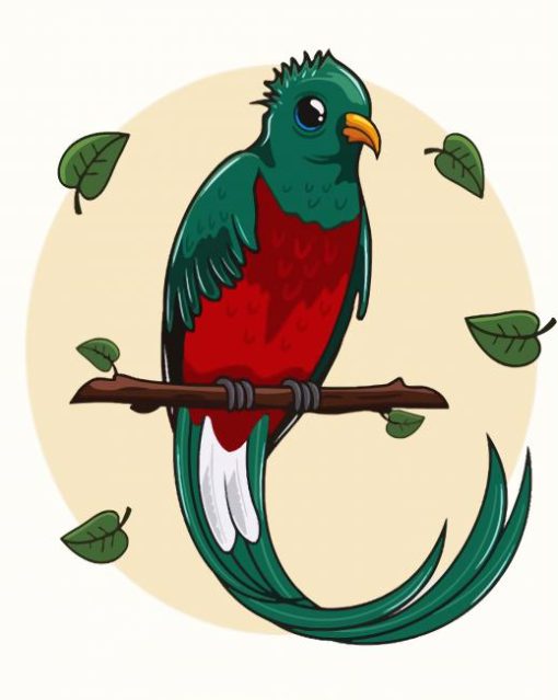 Resplendent Quetzal Art paint by numbers