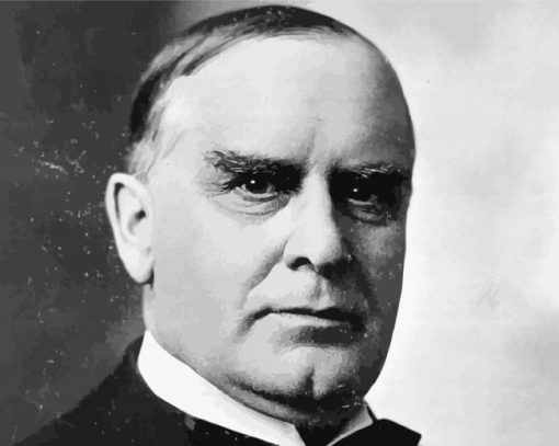 Monochrome Of William McKinley paint by numbers