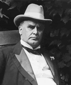 William McKinley In Black And White paint by numbers