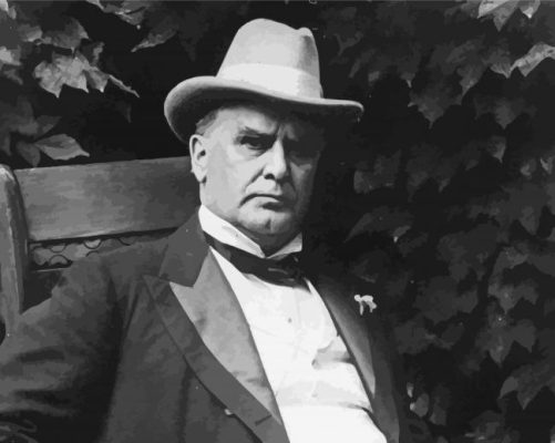 William McKinley In Black And White paint by numbers