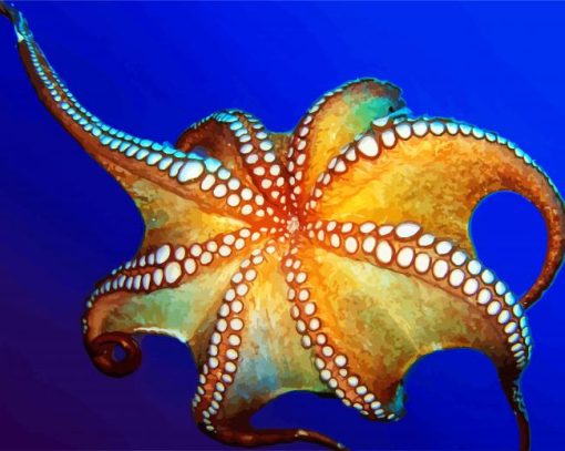 Octopus Animal paint by numbers