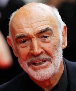 Old Sean Connery paint by numbers