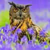 Owl Bird Between Flowers paint by numbers