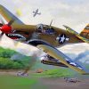 P52 Mustang Aircraft paint by numbers