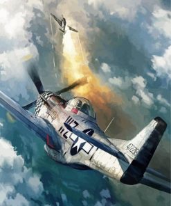 P52 Mustang Plane paint by numbers