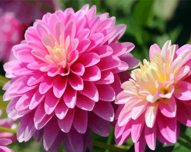 Adorable Purple Dahlia paint by numbers