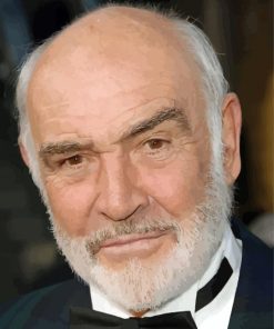 Sean Connery paint by numbers