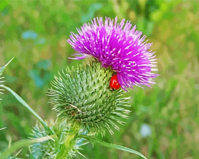 Onopordum Acanthium paint by numbers