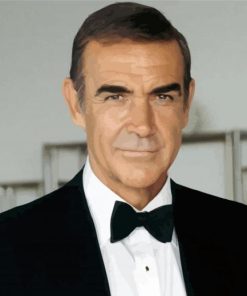 Classy Sean Connery paint by numbers