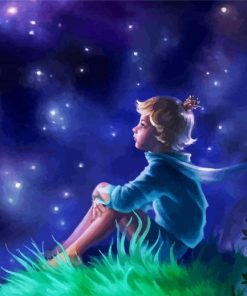 The Little Prince Art paint by numbers