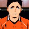 Daichi Sawamura paint by numbers