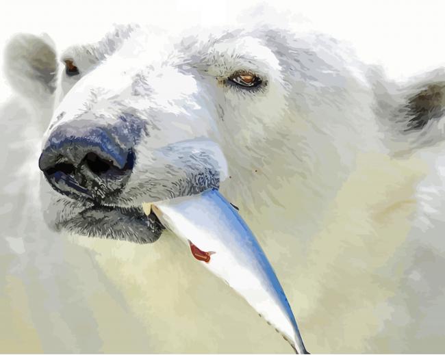 White Bear Catching Fish paint by numbers