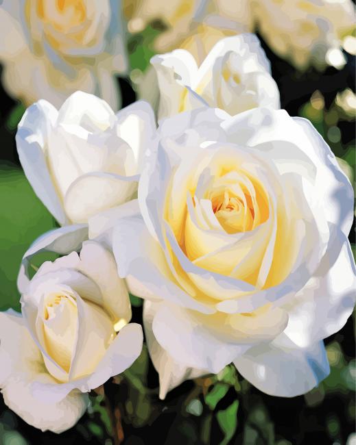Aesthetic White Floribunda paint by numbers