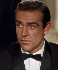 Young Actor Sean Connery paint by numbers