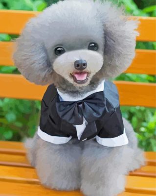 Adorable Dog With Suit paint by numbers