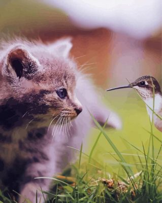 Adorable Cat And Hummingbird paint by numbers