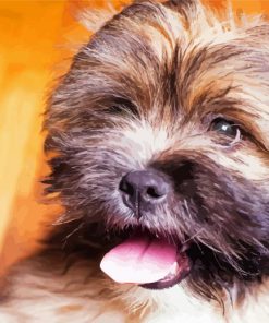 Cute Lhassa Apso Dog paint by numbers