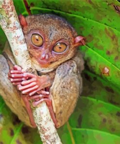 Aesthetic Primate Tarsier paint by numbers