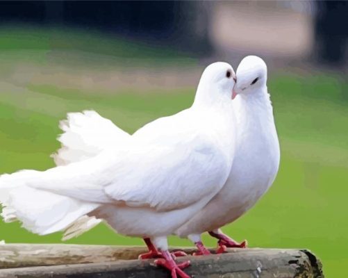 Aesthetics Romantic White Doves paint by numbers