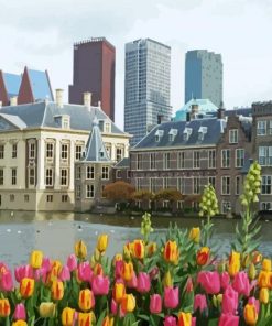 Beautiful The Hague paint by numbers