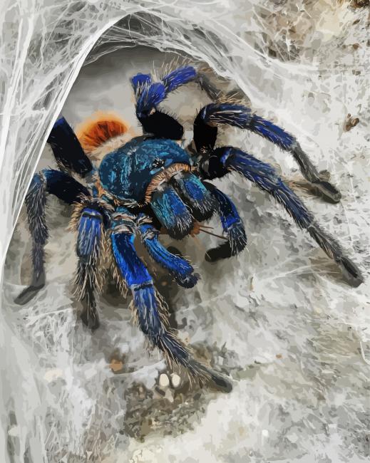 Aesthetic Tarantula paint by numbers