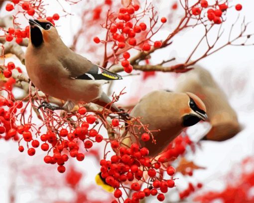 Aesthetics Birds And Red Berries paint by numbers