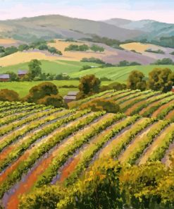 Barossa Vineyard Paint by numbers