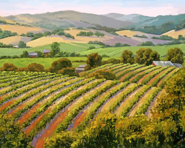 Barossa Vineyard Paint by numbers