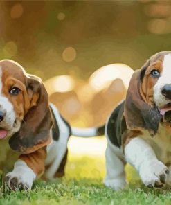 Basset Hound Puppies paint by numbers