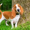 Basset Hound Puppy paint by numbers