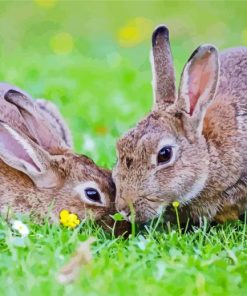 Beautiful Hares In The Grass paint by numbers