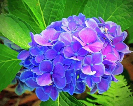 Beautiful Purple Hydrangeas paint by numbers