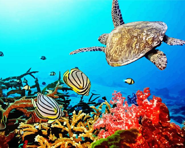 Beautiful Sea Animals paint by numbers