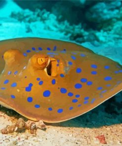 Beautiful Stingray Fish paint by numbers