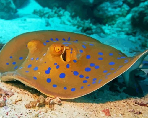 Beautiful Stingray Fish paint by numbers