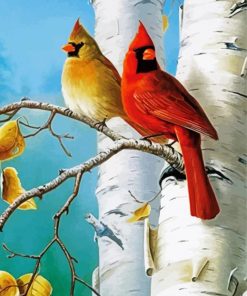 Cute Birds And Birch Trees paint by numbers