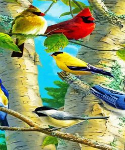 Birds On Birch Trees paint by numbers