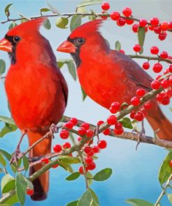 Birds And Red Berries paint by numbers