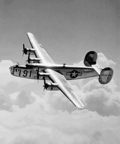 Black And White B 24 Bomber paint by numbers