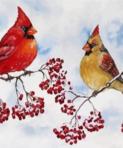 Cardinals Birds And Red Berries paint by numbers