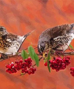 Cute Birds And Red Berries paint by numbers