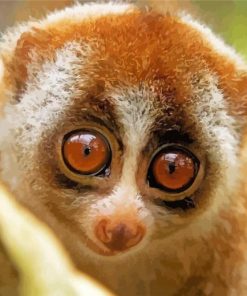 Cute Primate Lepilemur Animal paint by numbers