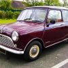 Dark Red Classic Mini Car paint by numbers