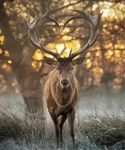 Deer With Horns Heart paint by numbers