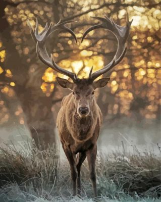 Deer With Horns Heart paint by numbers
