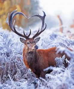 Deer With Horns In Winter paint by numbers