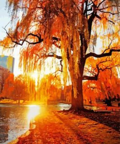 Weeping Willow In Autumn paint by numbers