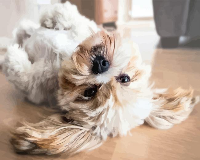 Funny Lhassa Apso paint by numbers