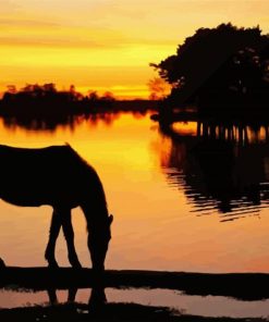 Horse Silhouette In New Forest Park National paint by numbers