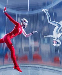 Indoor Skydiving paint by numbers